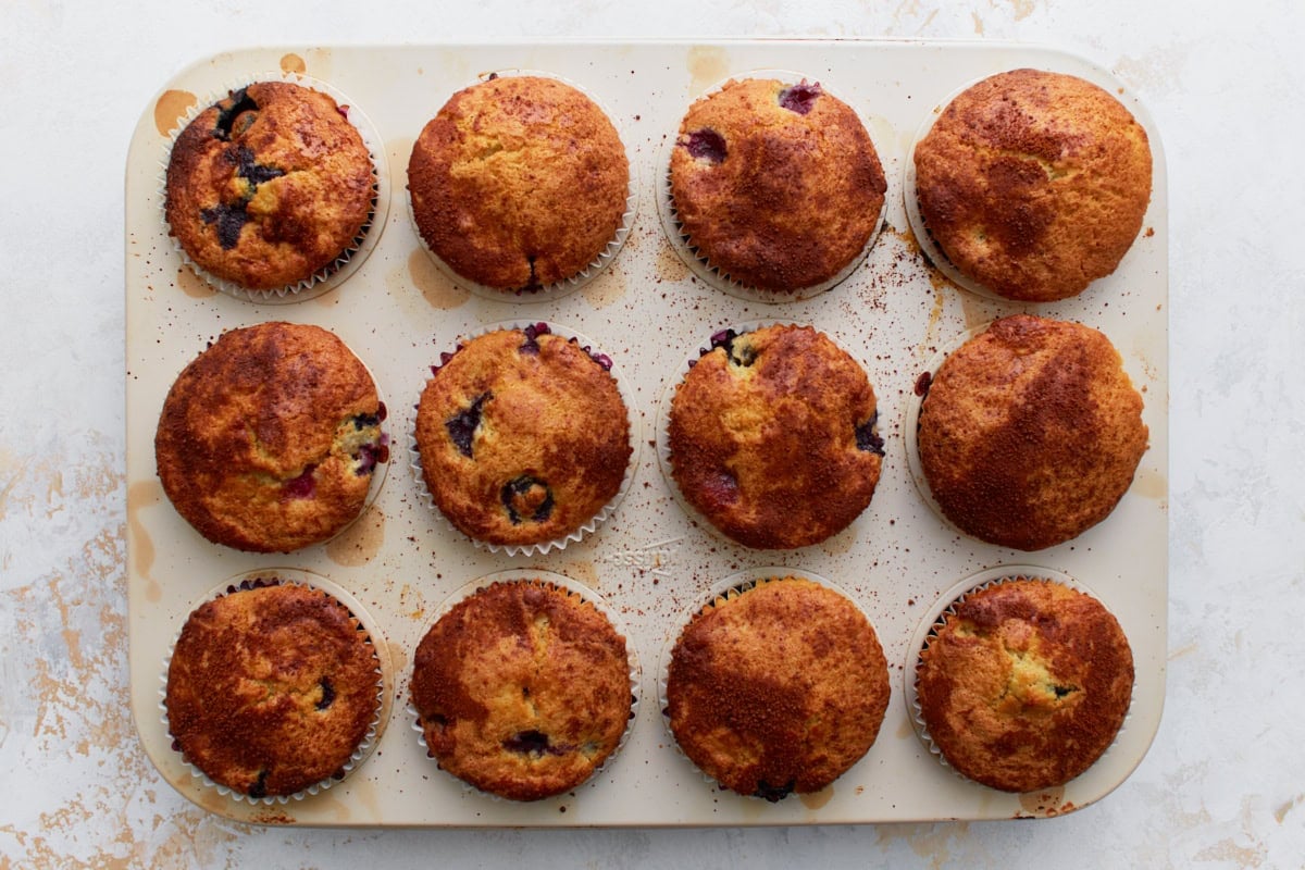 Twelve golden-brown gluten-free blueberry muffins fresh out of the oven, still in the muffin tin, with lightly domed and crackled tops.