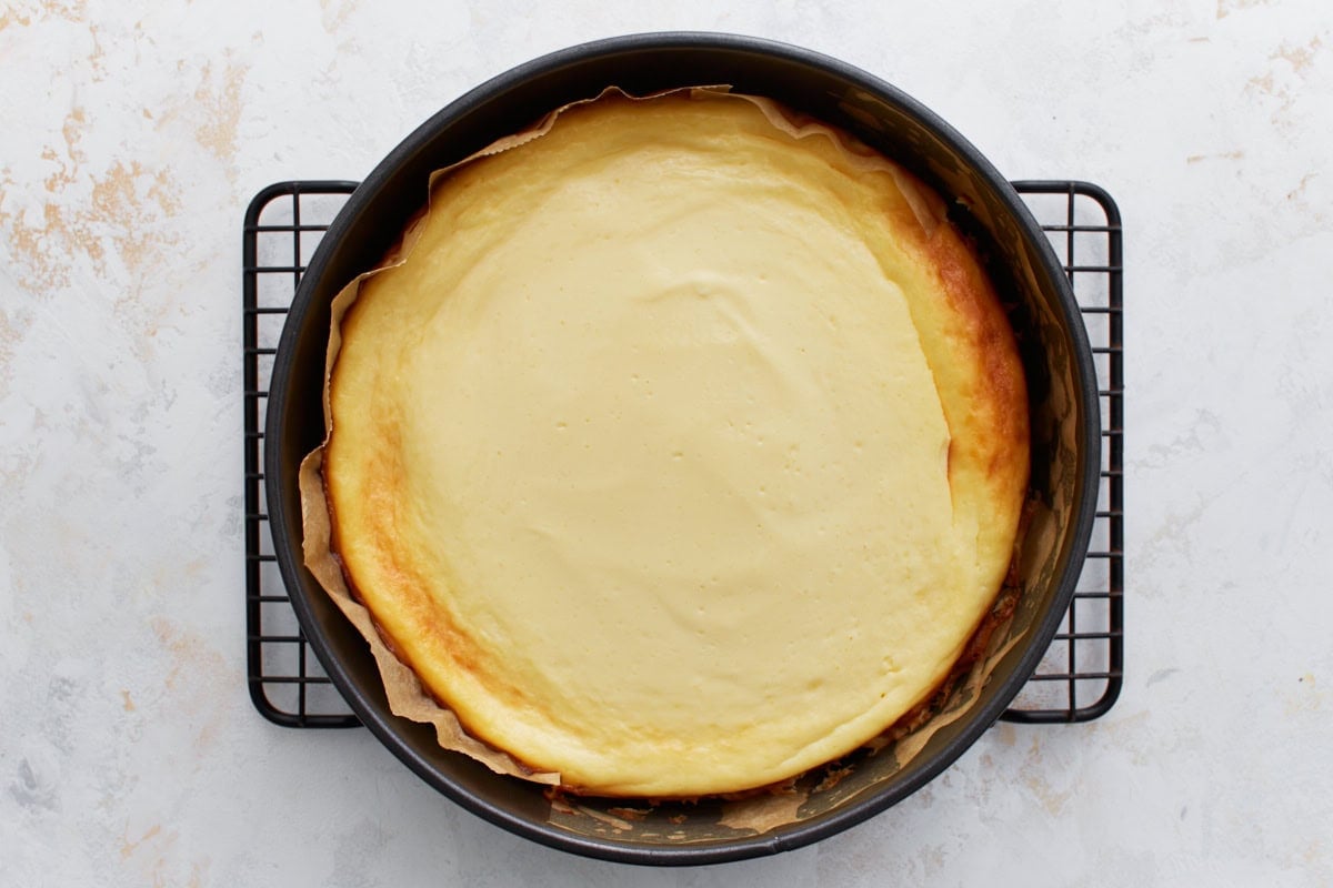 Gluten-free cheesecake freshly baked in the springform pan, cooling on a wire rack.