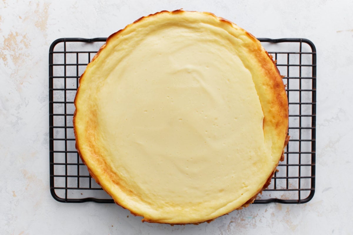 Gluten-free cheesecake removed from the pan and cooling directly on a wire rack, showing a lightly golden top.