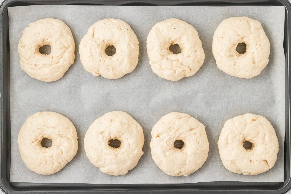Eight unbaked gluten-free bagels shaped and placed on a parchment-lined baking sheet, ready for boiling.