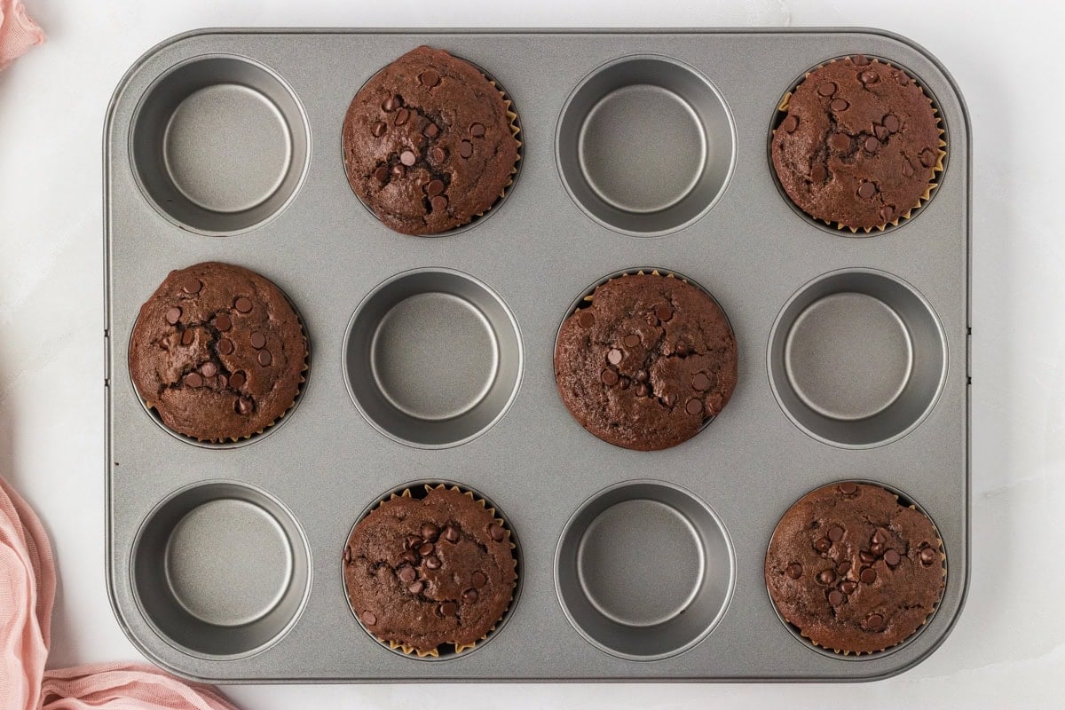 Freshly baked chocolate muffins still in the muffin tin, with domed tops and chocolate chips visible.
