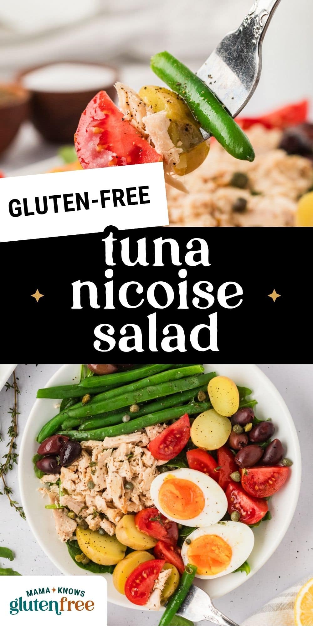 Tuna Nicoise Salad pin image