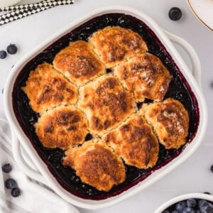 Freshly baked gluten-free blueberry cobbler in a white square baking dish with golden biscuit topping and bubbling blueberry filling.