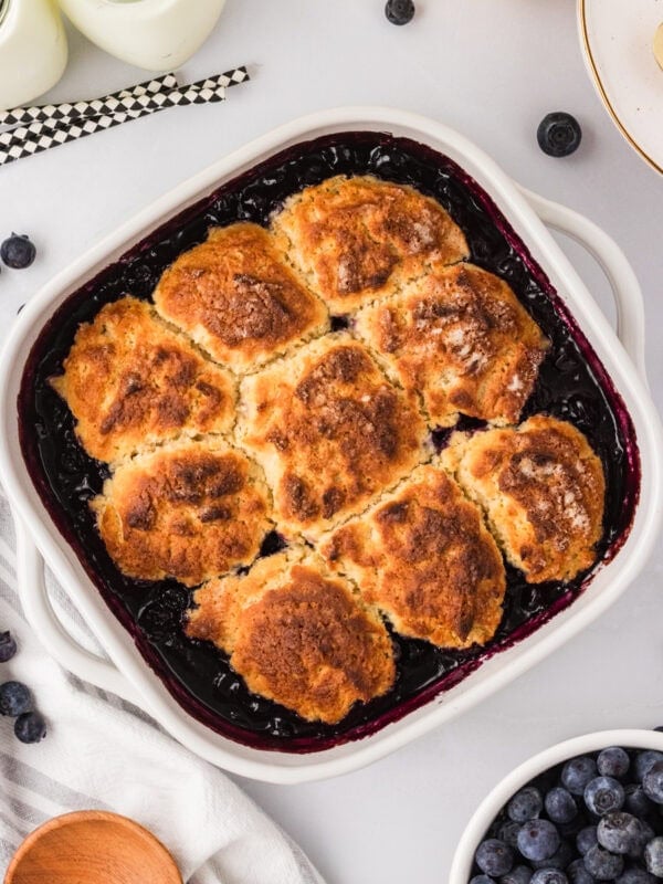 Freshly baked gluten-free blueberry cobbler in a white square baking dish with golden biscuit topping and bubbling blueberry filling.