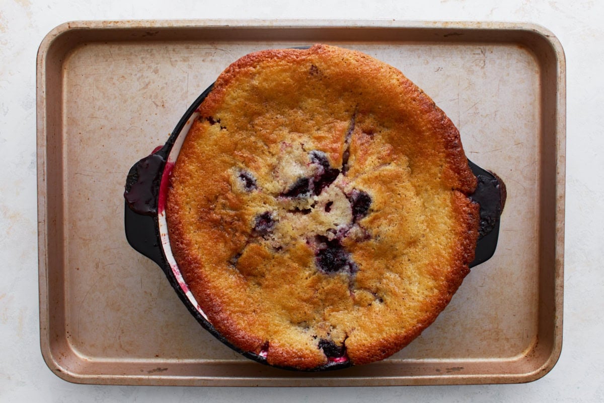 Baked blackberry cobbler in a dish on a sheet pan, golden and bubbling at the edges.