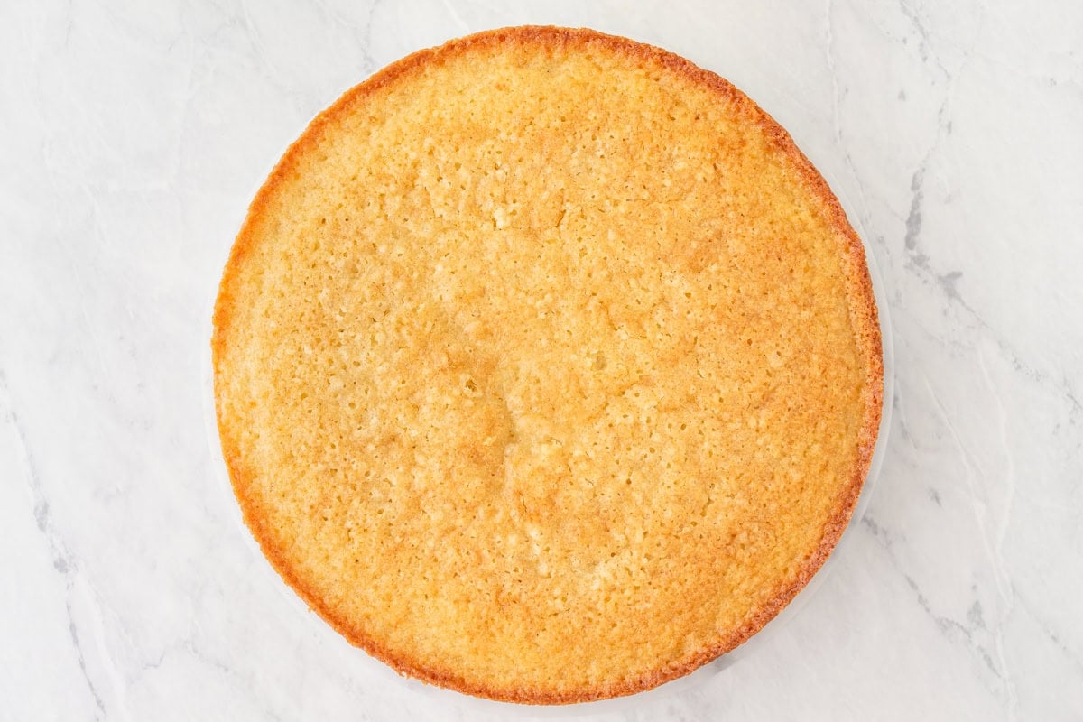 Baked gluten-free olive oil cake turned out of the pan, golden brown with a lightly crisped top.