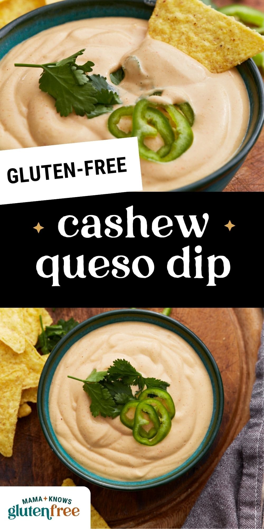 cashew queso dip pin image