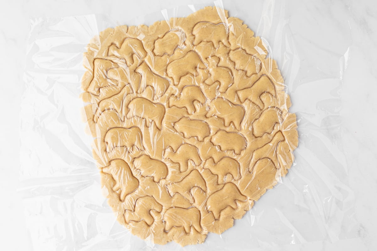 Rolled-out gluten-free animal cracker dough with animal shapes cut out under a layer of plastic wrap.
