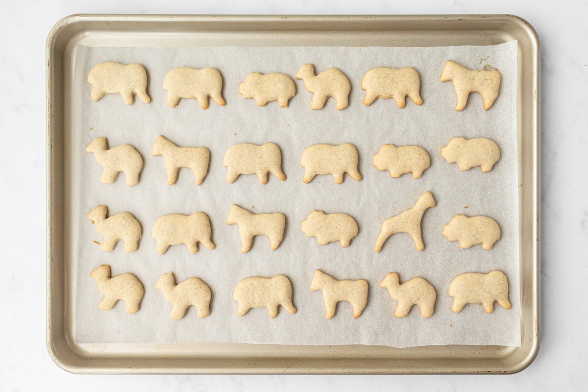 Baked gluten-free animal crackers cooling on a parchment-lined baking sheet, lightly golden around the edges.
