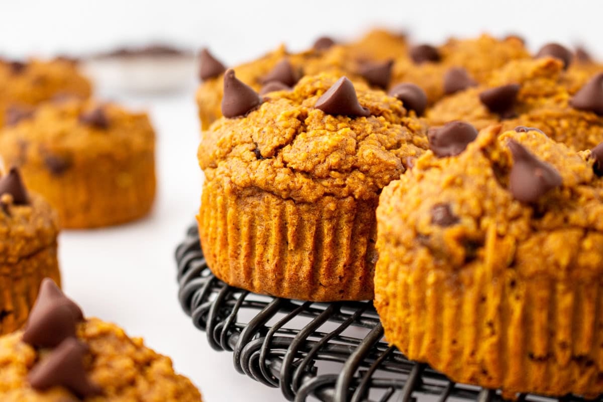 Flourless pumpkin muffins cooling on a wire rack, showing their soft, fluffy texture and melted chocolate tops.