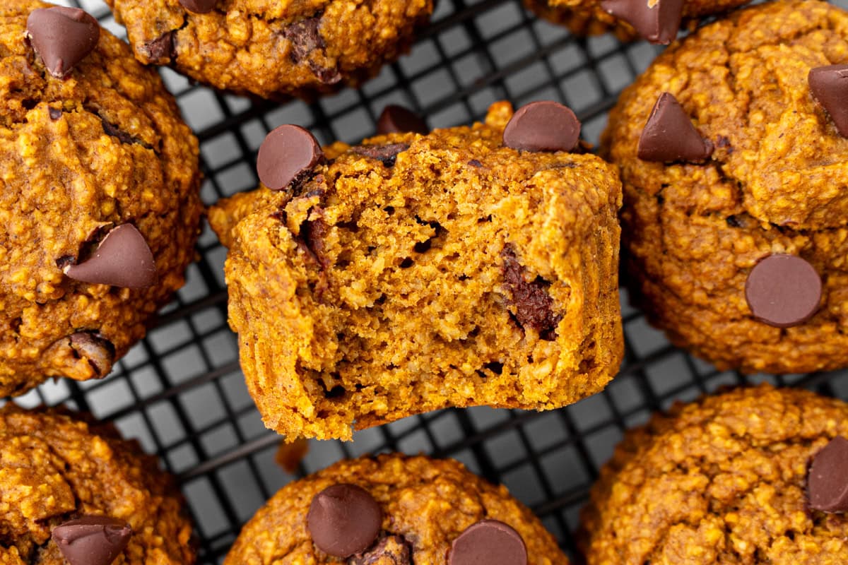 Close-up of a pumpkin muffin with a bite taken out, showing the moist, tender crumb and gooey chocolate chips inside.