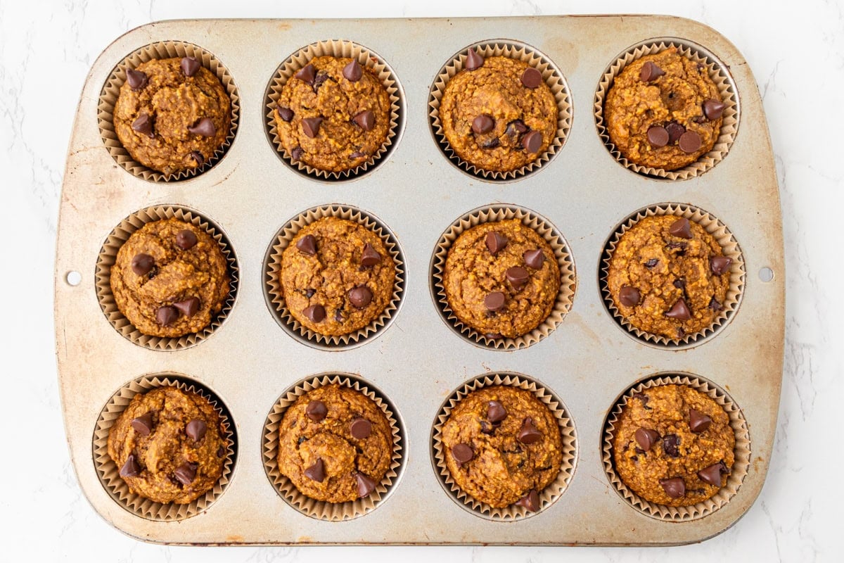 Tray of freshly baked flourless pumpkin muffins, golden and studded with chocolate chips right out of the oven.