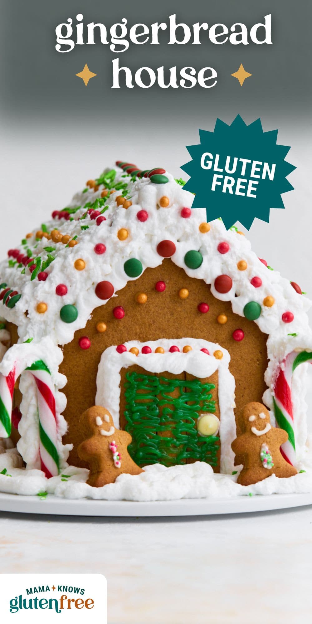 gluten-free gingerbread house pin image