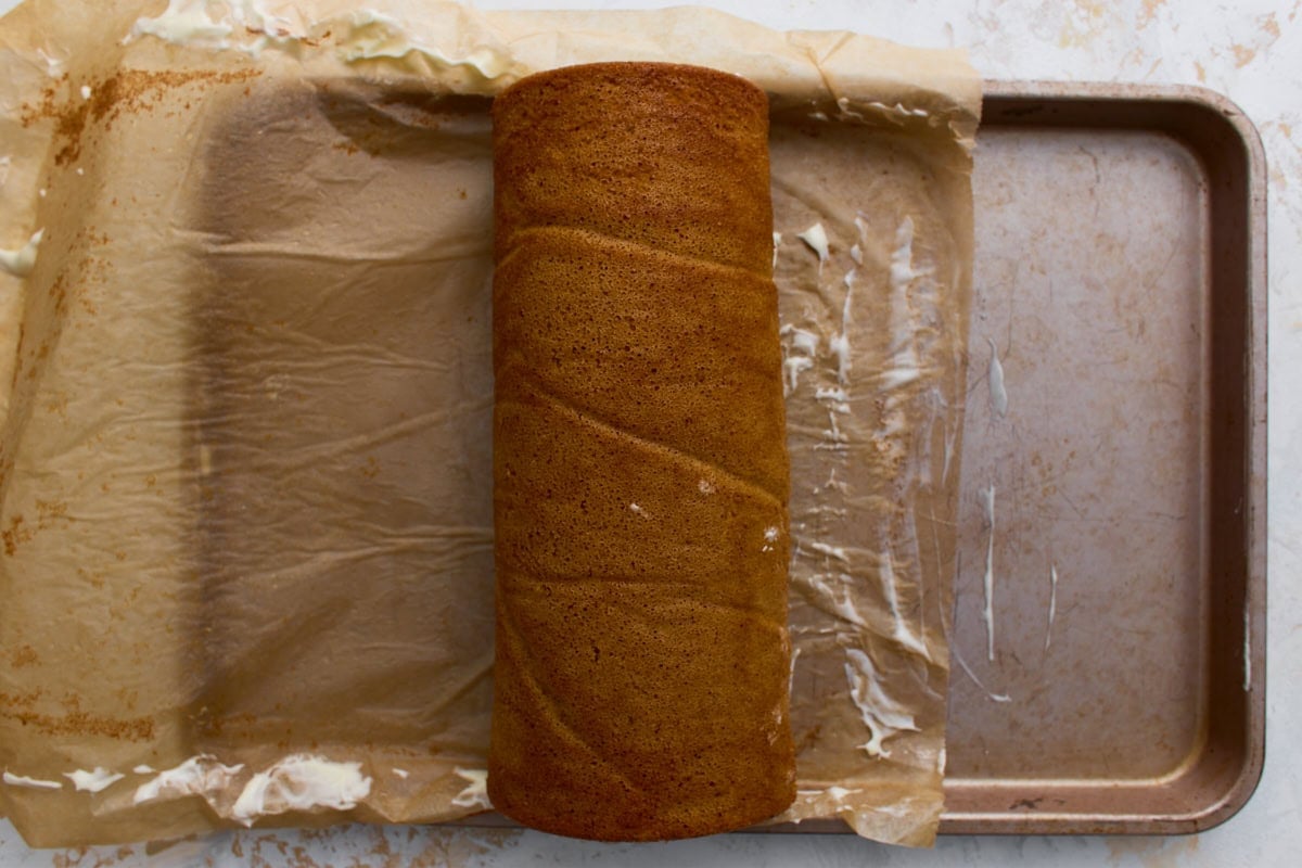 Baked pumpkin sponge cake rolled up with cream cheese frosting, sitting on parchment paper in a jelly roll pan.