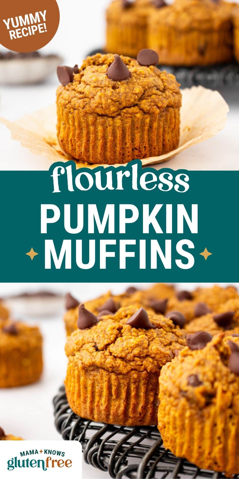 flourless pumpkin muffins pin image