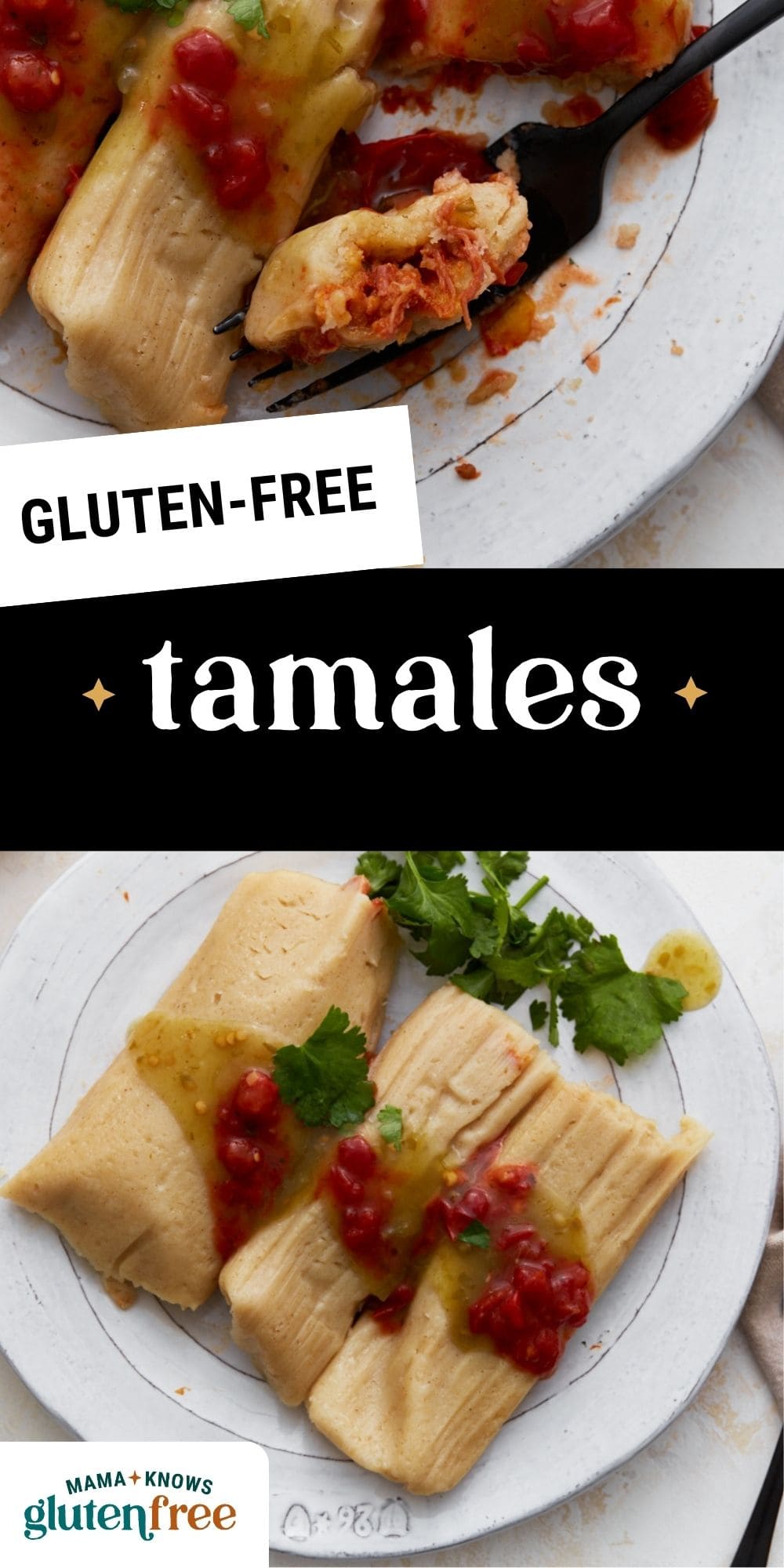 gluten-free tamale pin image