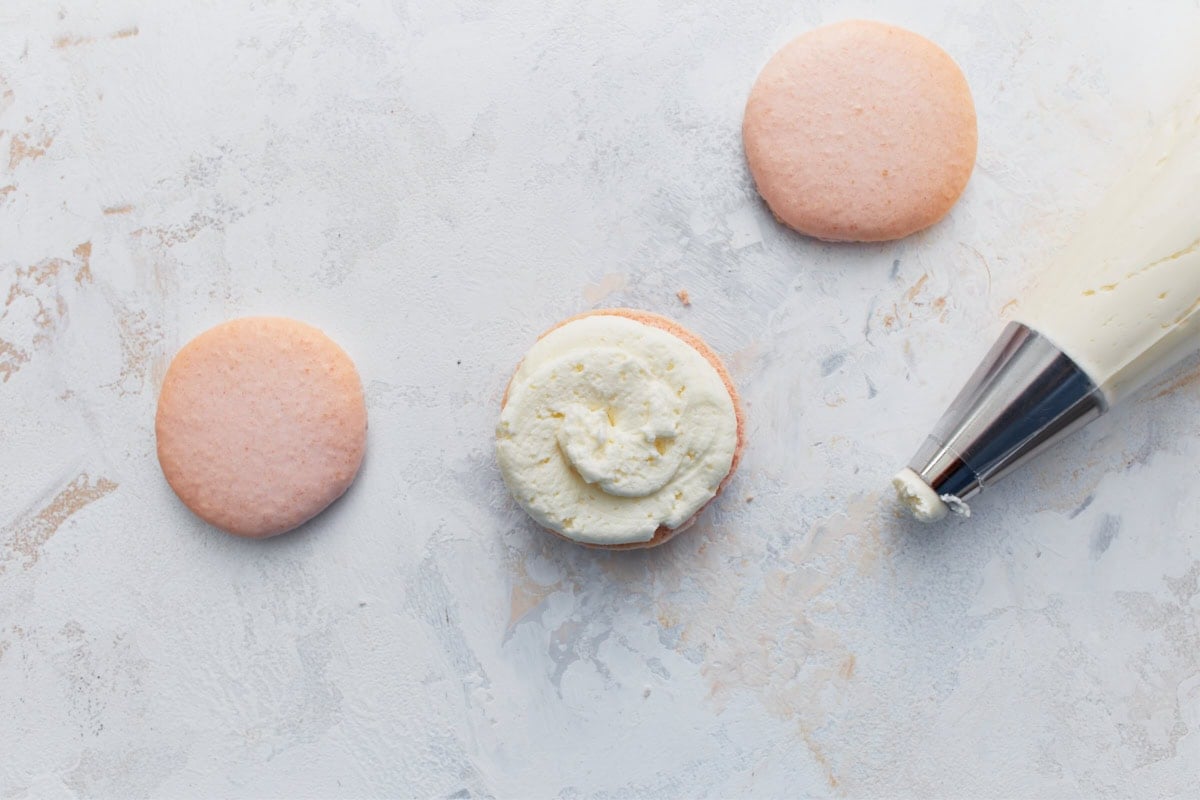 Macaron shell topped with a swirl of vanilla buttercream next to plain shells and a piping bag.