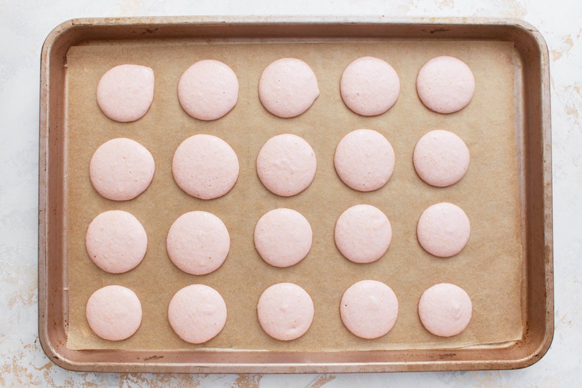 Unbaked macaron shells piped into neat circles on a parchment-lined baking sheet