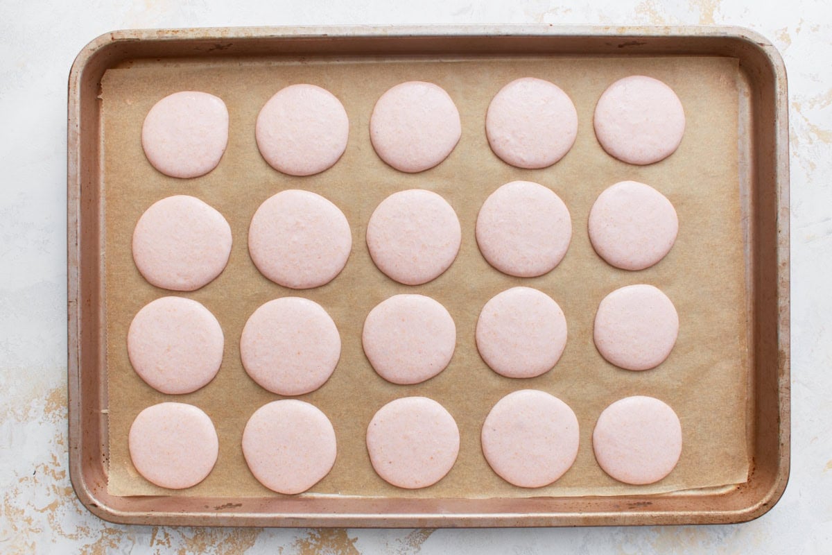 Macaron shells after resting, smooth and dry on top, ready for baking.