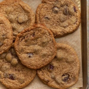 Baked buckwheat chocolate chip cookies cooling on a parchment lined baking sheet with crisp edges and soft centers
