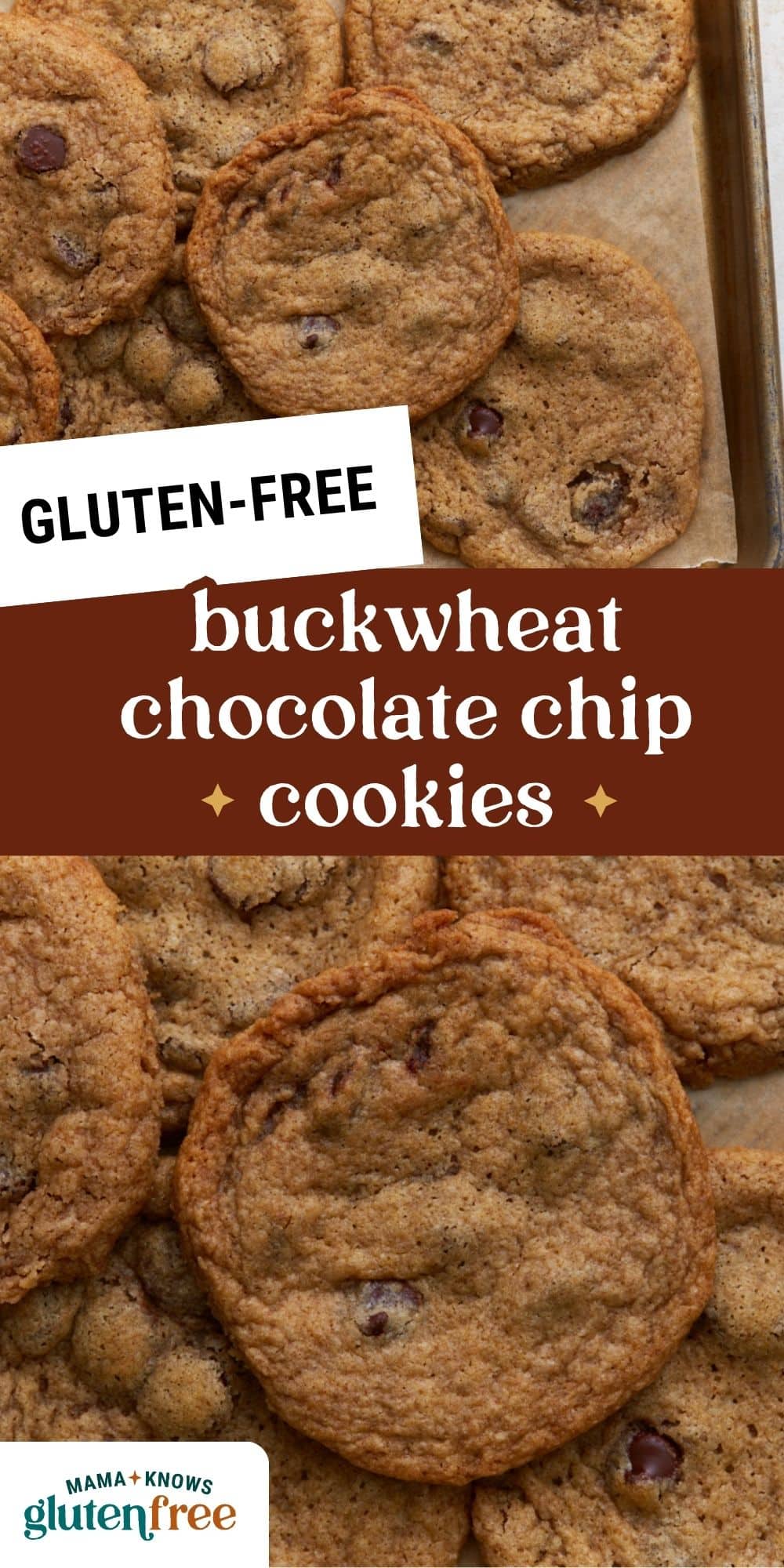 buckwheat chocolate chip cookies pin image