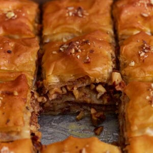 Gluten-free baklava cut into squares showing flaky phyllo layers and chopped nut filling soaked in honey syrup.