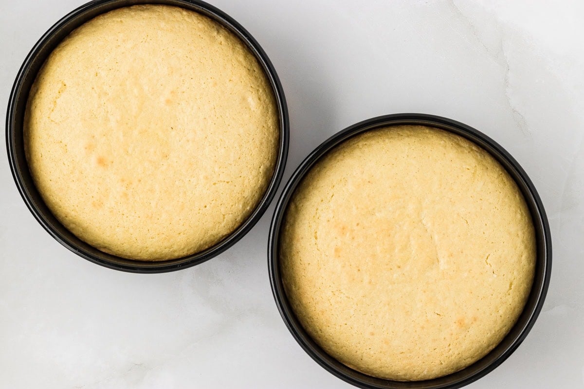 two cake layers baked in round pans for gluten free coconut cake