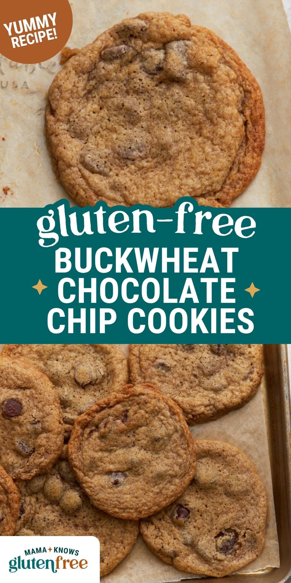 buckwheat chocolate chip cookies pin image