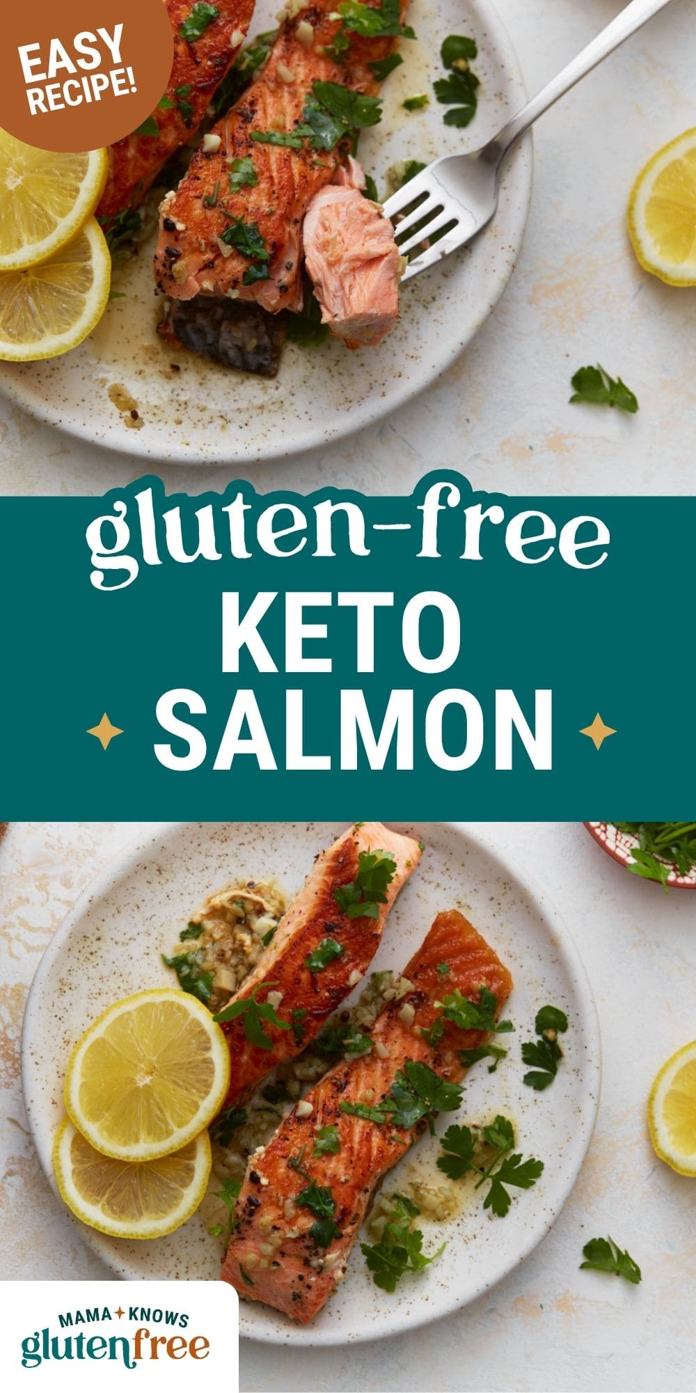 keto salmon pin image