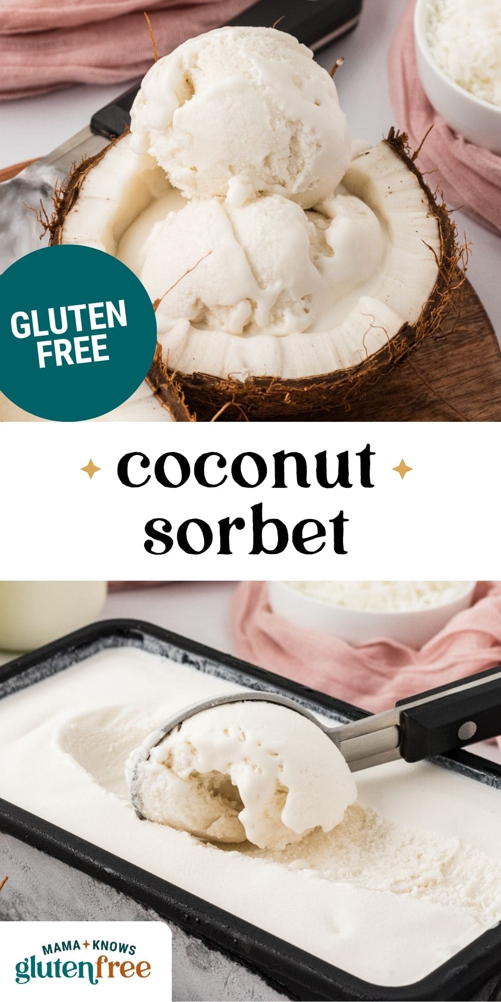 coconut sorbet pin image