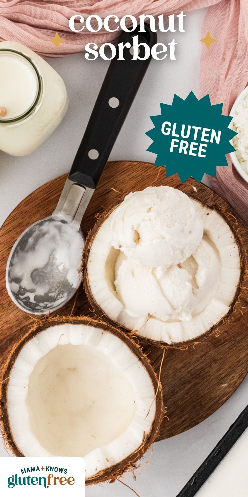 coconut sorbet pin image