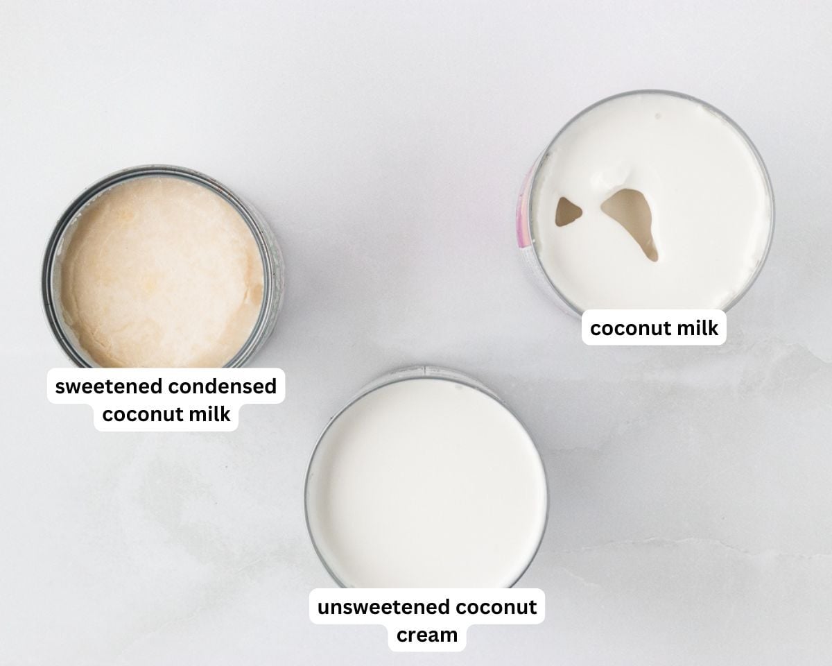 ingredients to make coconut sorbet