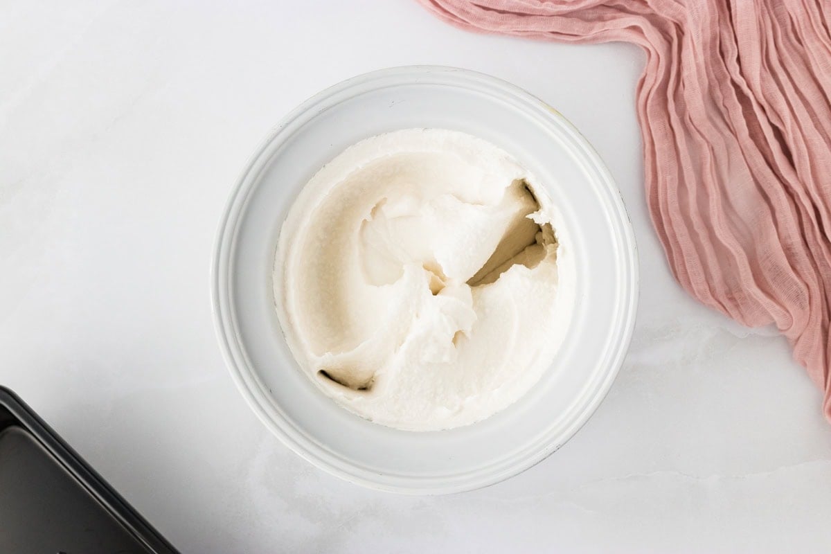Frozen coconut sorbet in a container