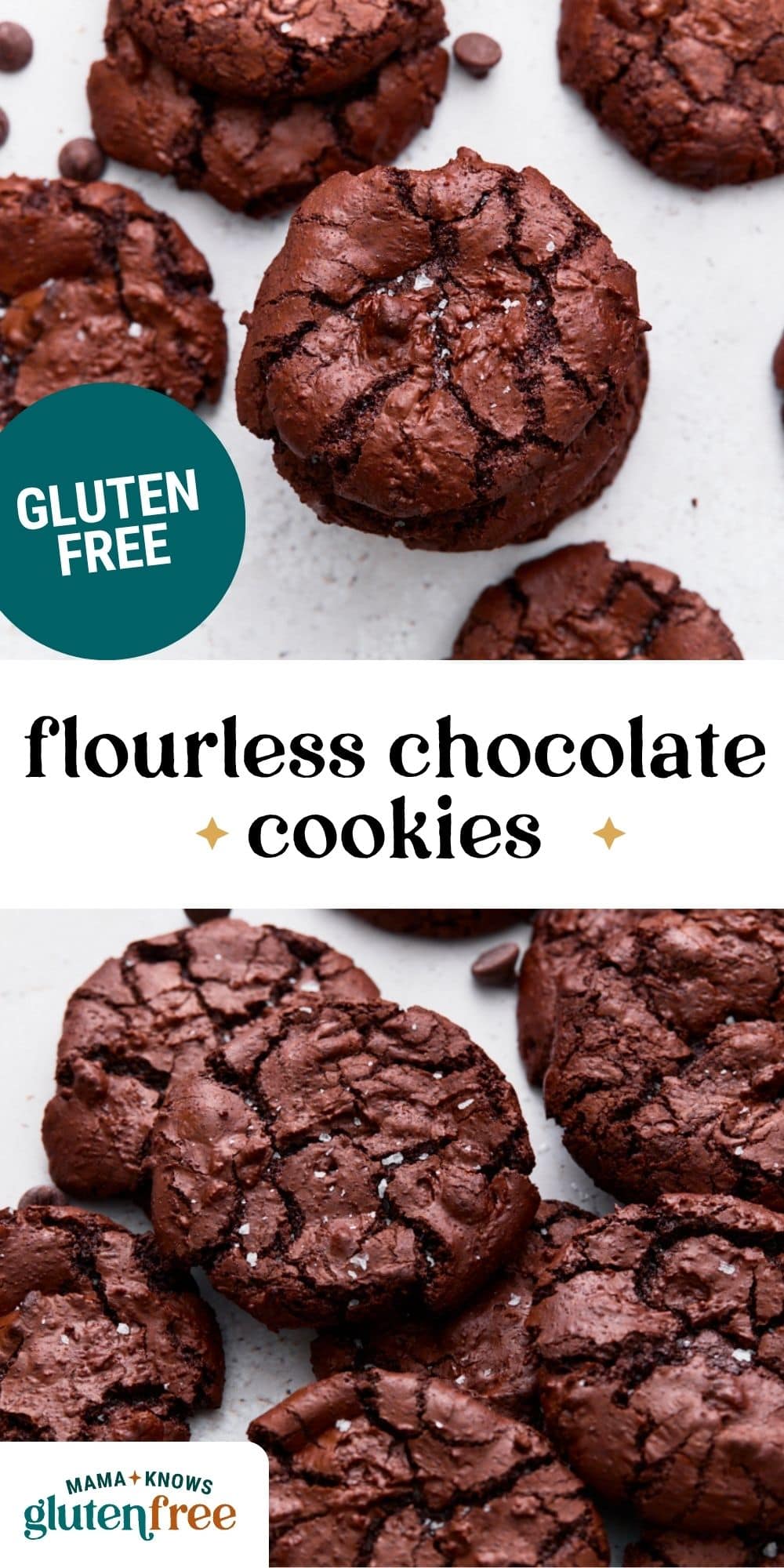 flourless chocolate cookies pin image