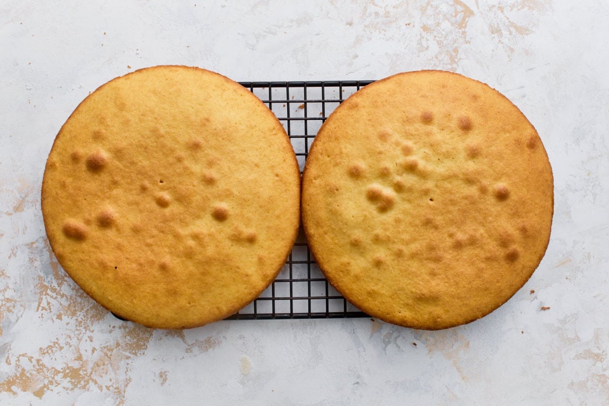 Two gluten-free sponge cake layers cooling on a black wire rack