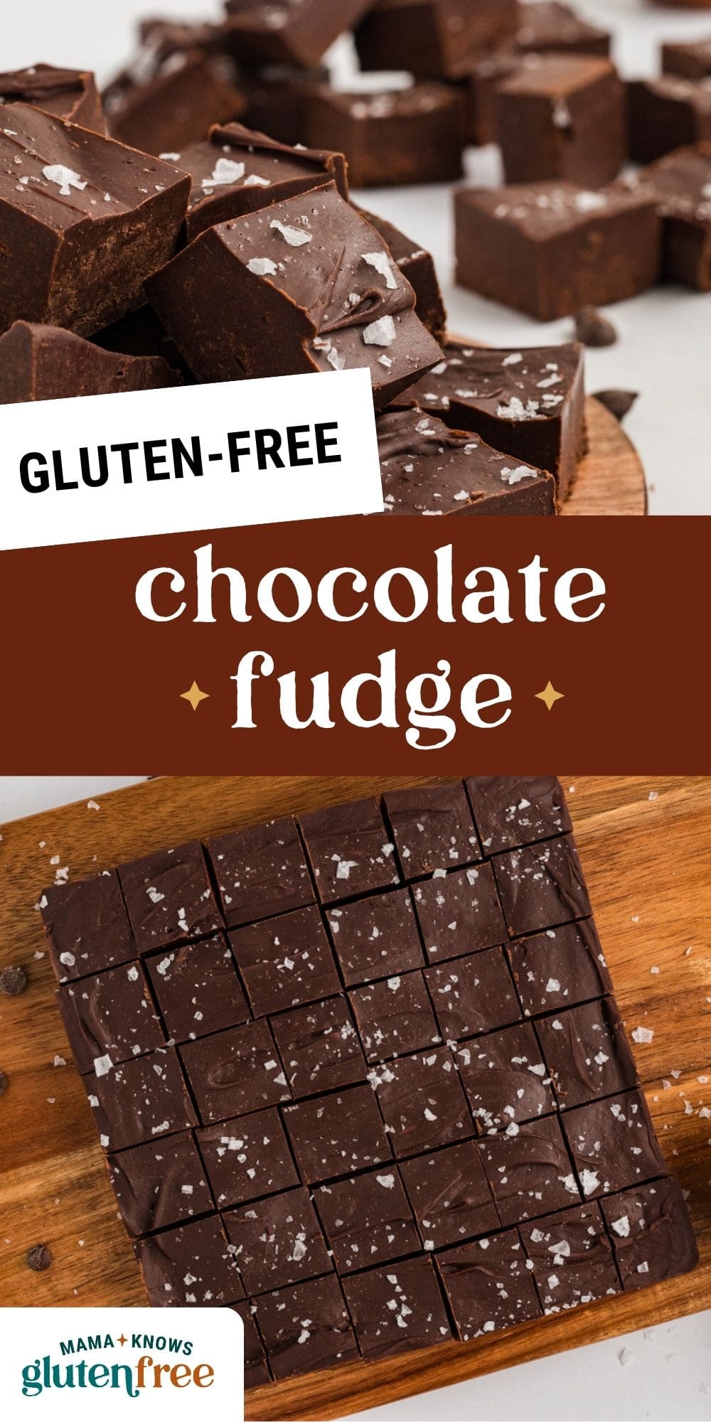 dairy-free chocolate fudge pin image