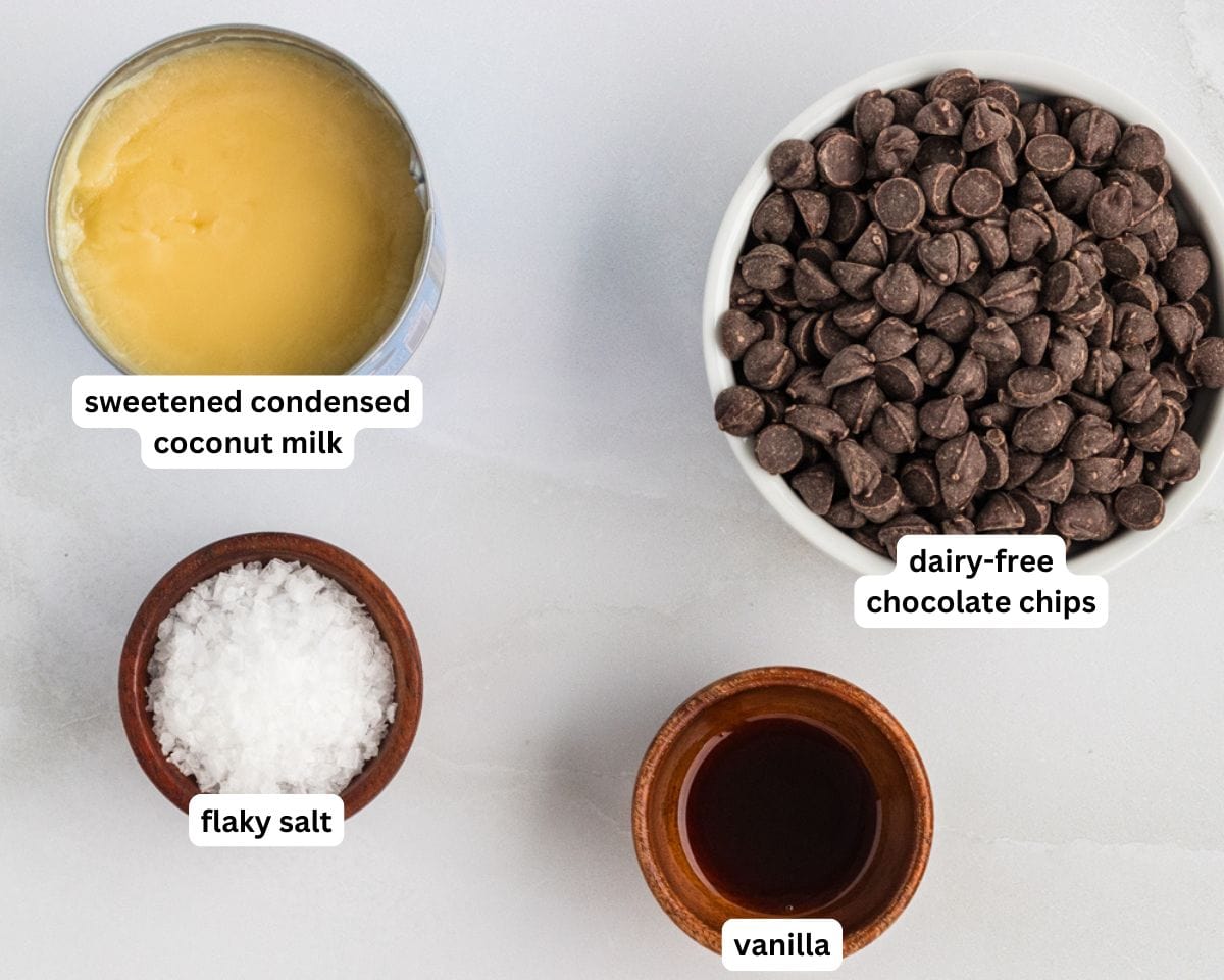 dairy-free and gluten-free chocolate fudge ingredients