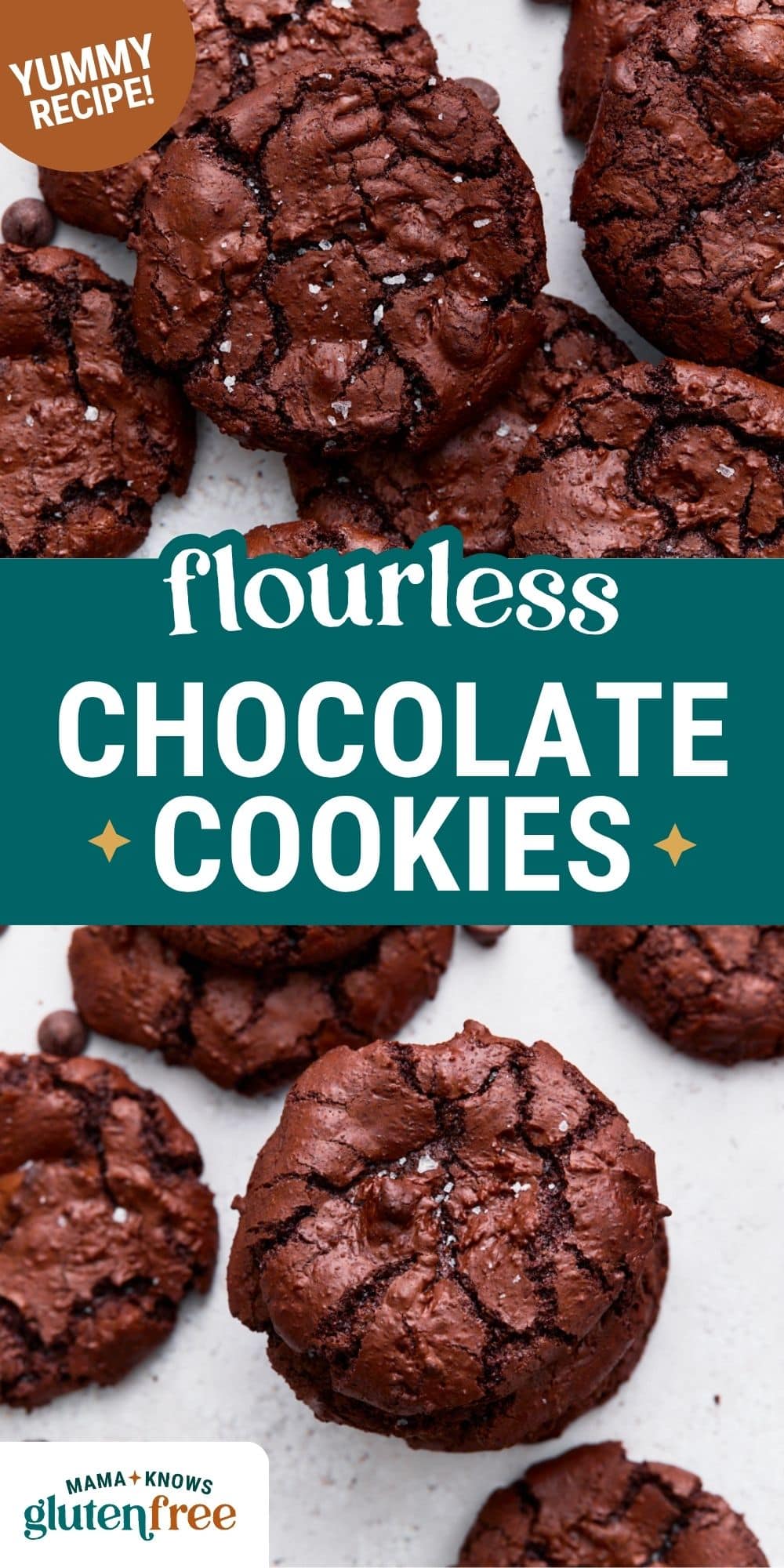 flourless chocolate cookies pin image