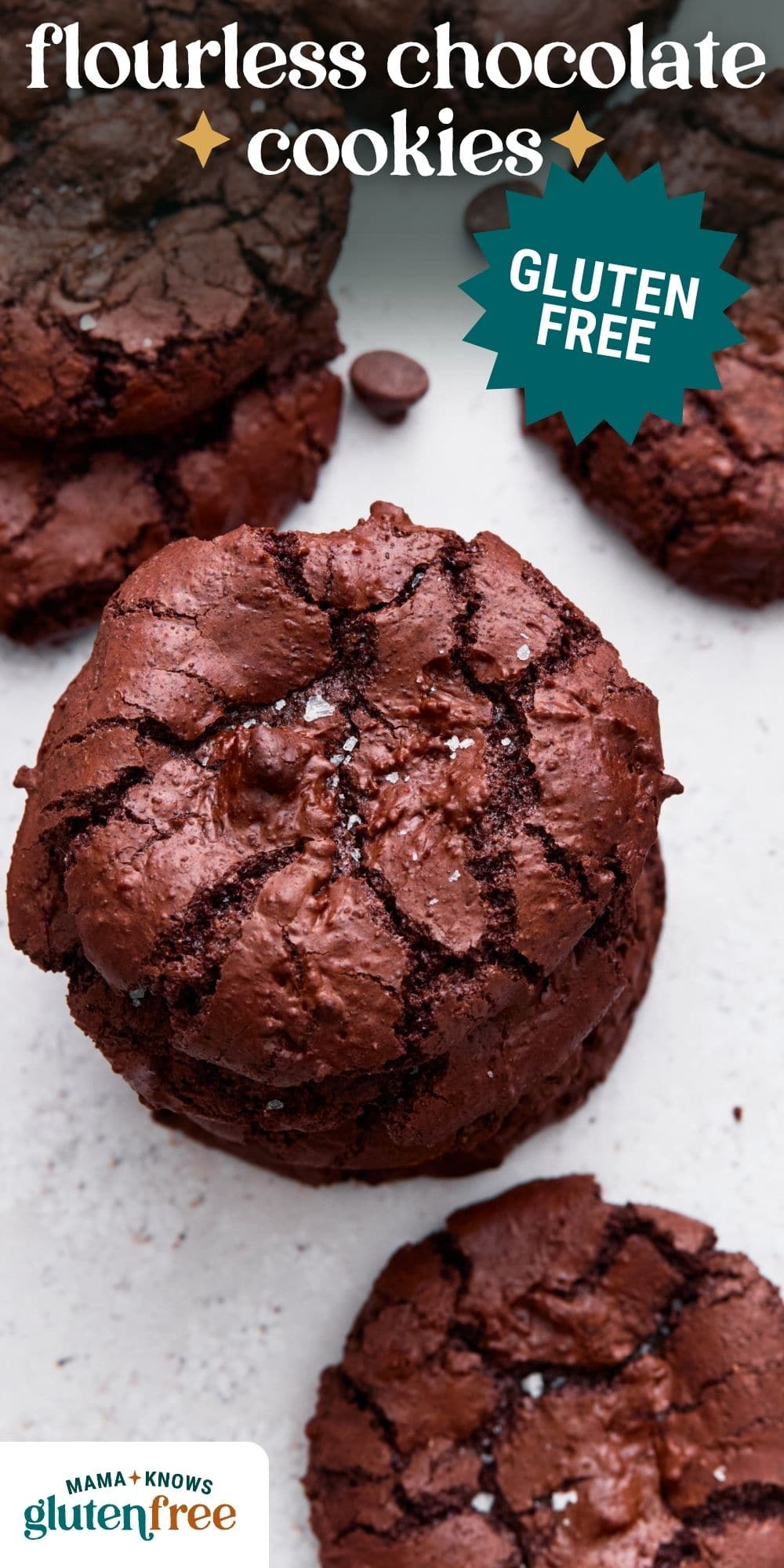 flourless chocolate cookies pin image